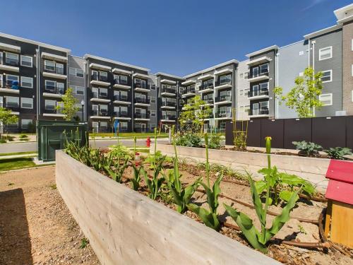 Apartments in Clearfield UT Community garden with raised beds and plants in front of modern apartment buildings under a clear blue sky.